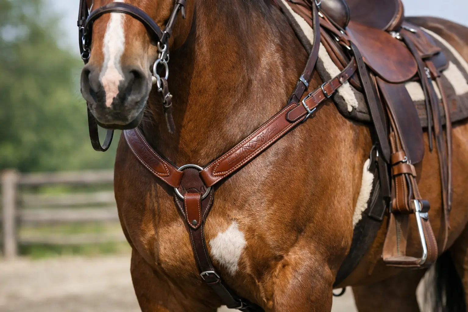 Guide to Horse Breast Collars for Better Fit