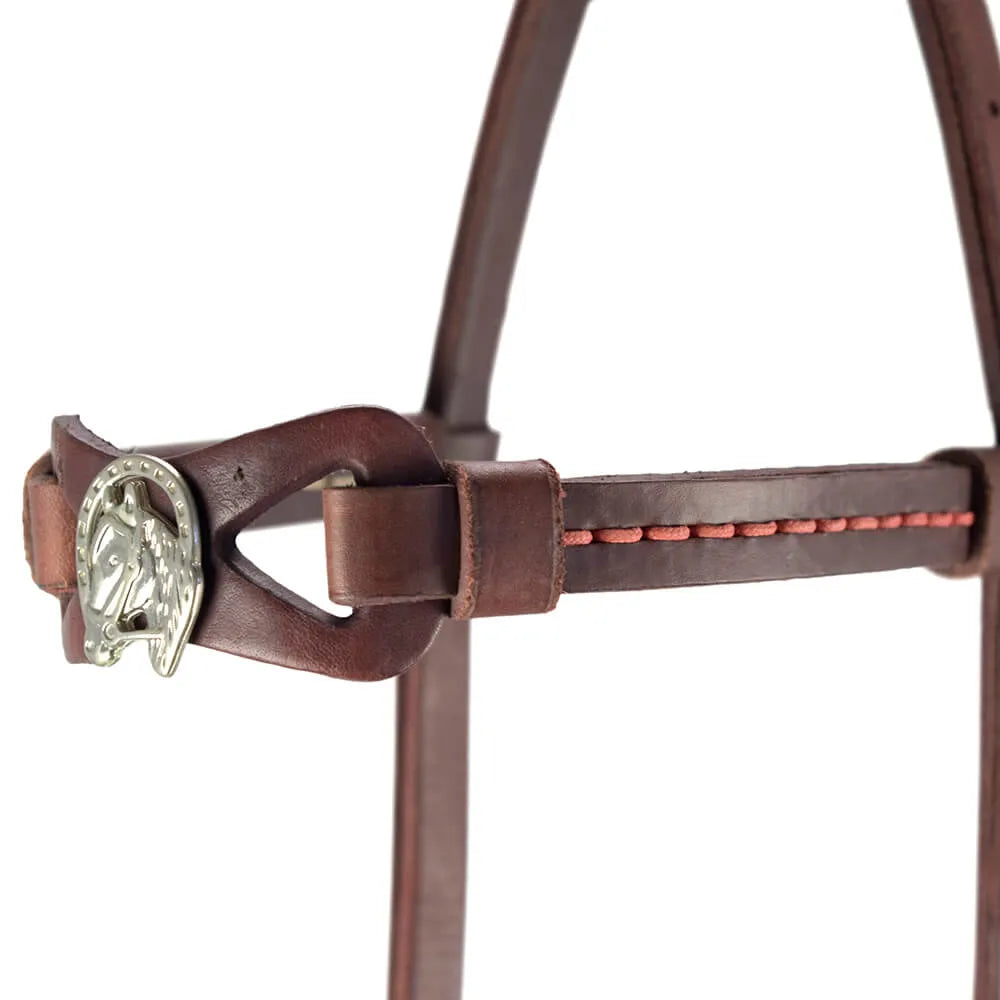 Presentation Halter - Havana