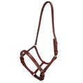 English Leather Halter - Havana