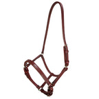 English Leather Halter - Havana
