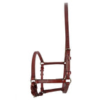 English Leather Halter - Havana