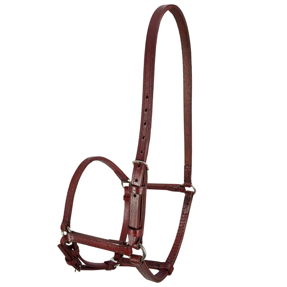English Leather Halter - Havana