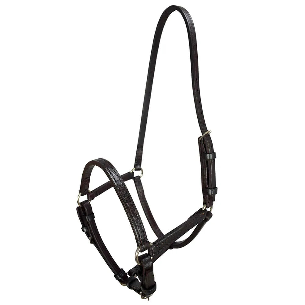 English Halter - Brown