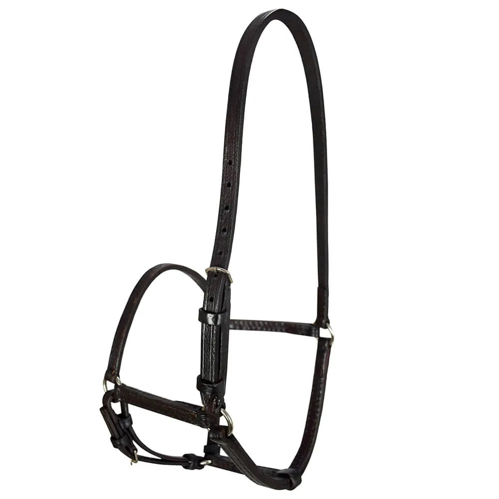 English Halter - Brown