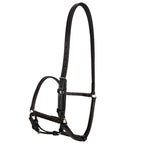 English Halter - Brown