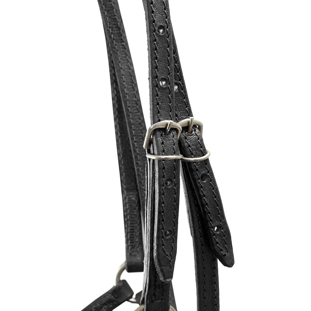 Master Presentation Halter - Black
