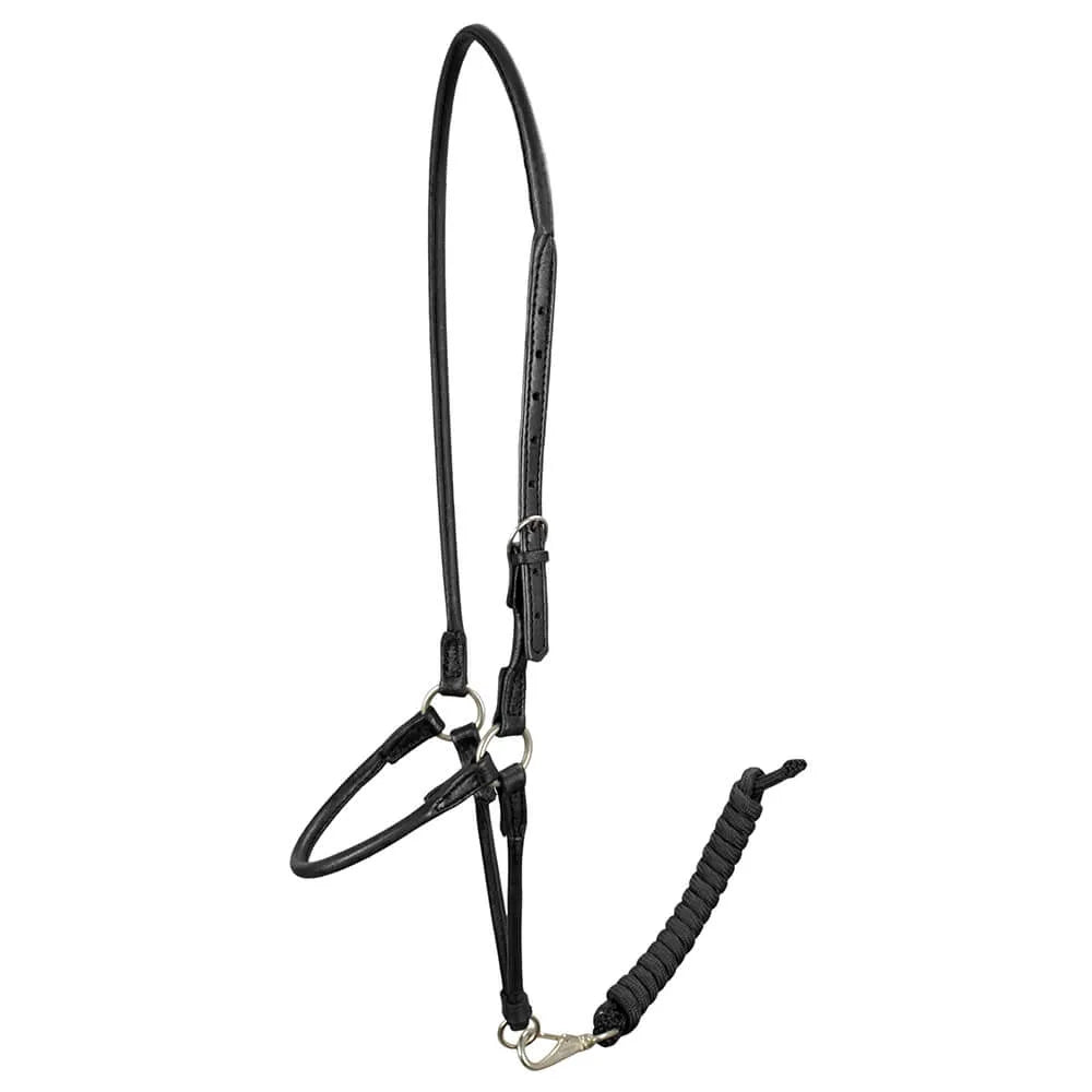 Round Presentation Halter - Black