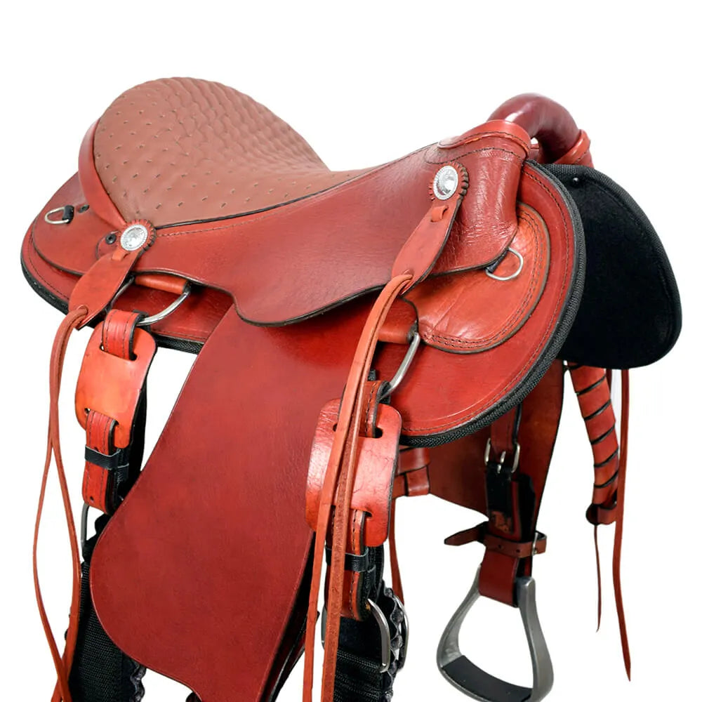 Mangalarga São Bento Saddle - Havana