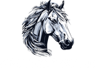 America Saddle