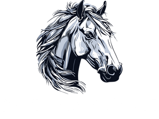 America Saddle